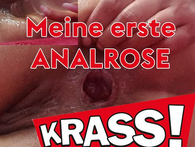 Meine erste ANALROSE
